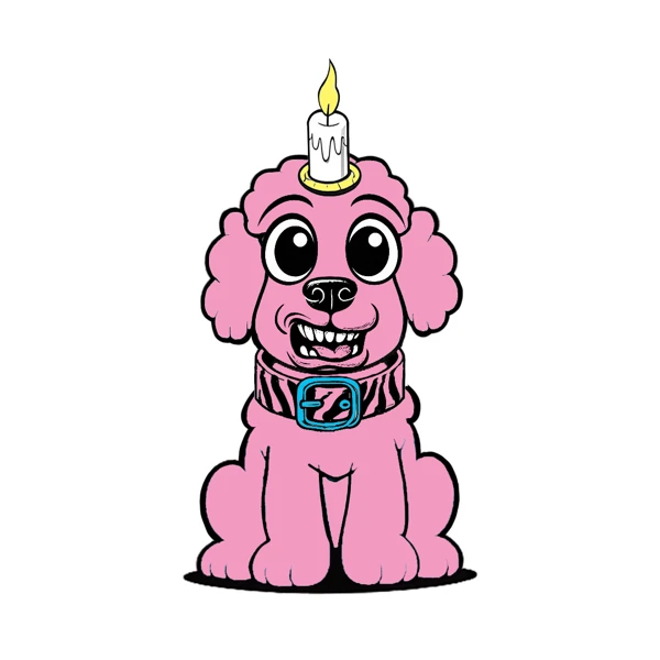 Pink poodle with a candle horn and turquoise collar