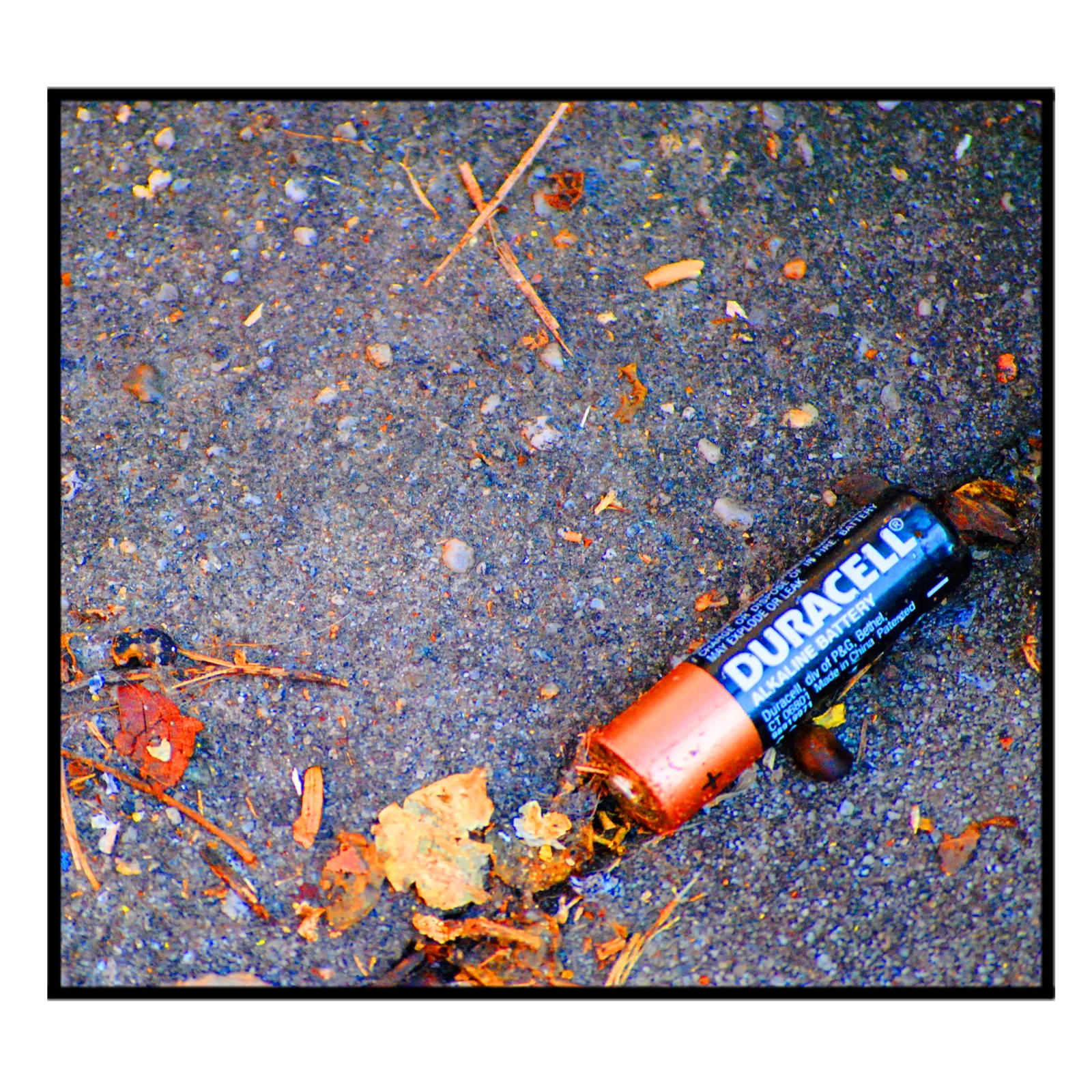 Duracell AA