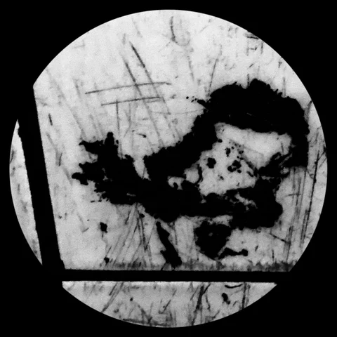 Photograph 27 from THE BLACK HOLE
