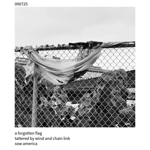 The Cuckoo Haiku — September 7, 2025