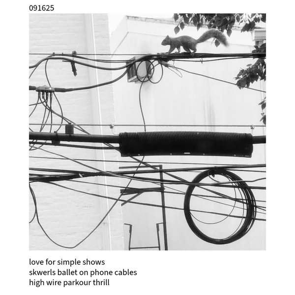 The Cuckoo Haiku — September 16, 2025