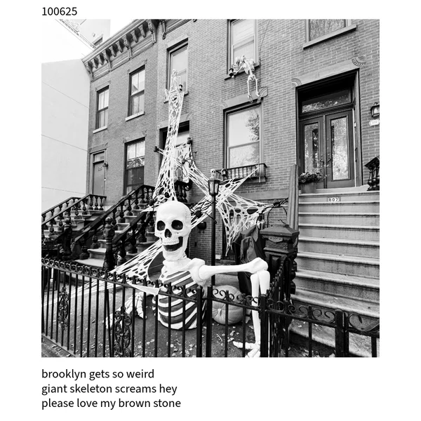 The Cuckoo Haiku — October 6, 2025