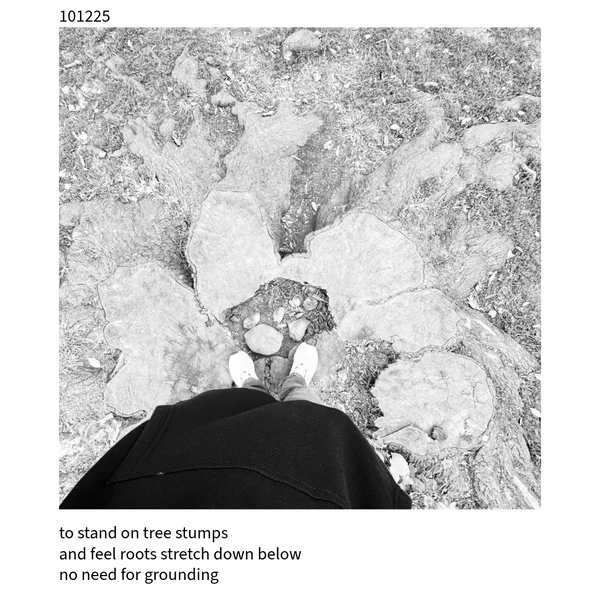 The Cuckoo Haiku — October 12, 2025