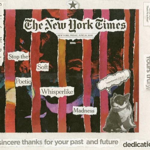 Newspaper collage, June 20th, 2008